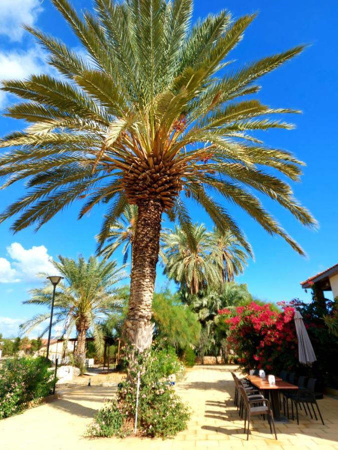 Golden Palms Guest House & Cafe ファマグスタ エクステリア 写真