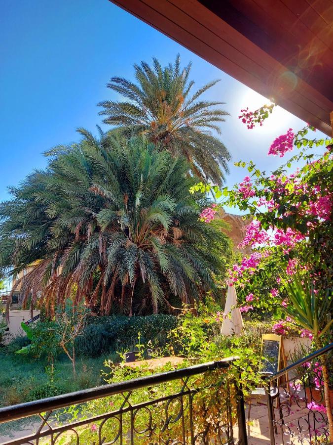 Golden Palms Guest House & Cafe ファマグスタ エクステリア 写真