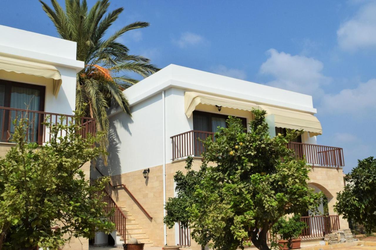 Golden Palms Guest House & Cafe ファマグスタ エクステリア 写真