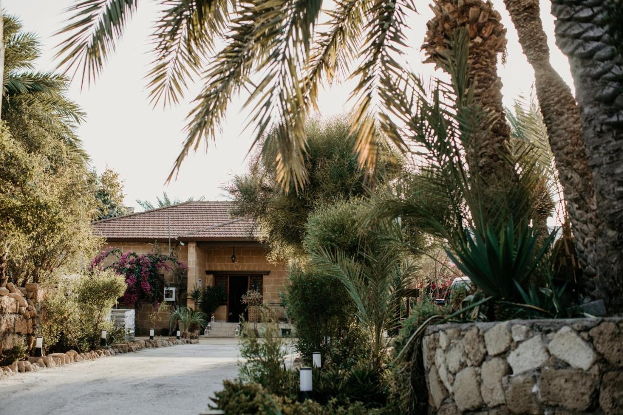 Golden Palms Guest House & Cafe ファマグスタ エクステリア 写真